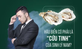 'Điên cuồng' ăn hàu sống và chuyện 'trên bảo dưới không nghe'