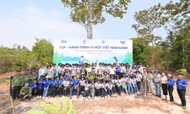 Doanh nghiệp nỗ lực chung tay thực hiện cam kết Net Zero