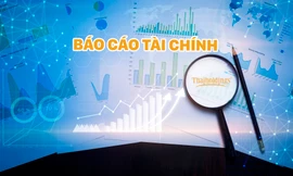 Thaiholdings đạt lợi nhuận sau thuế hơn 220 tỷ đồng