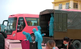 Nữ thủ khoa đỗ 5 trường chuyên làm gì để tăng sức đề kháng trong 14 ngày cách ly?