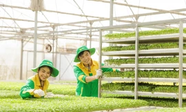 WinEco - Gắn kết nông nghiệp sạch vì sức khỏe cộng đồng