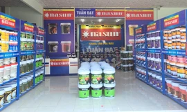 Sơn Nasun - Chinh phục thị trường sơn trang trí với nhãn xanh Singapore SGBC