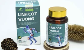 Linh cốt vương giá bao nhiêu? Mua ở đâu? Liệu có thực sự hiệu quả?