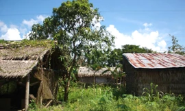 Trường mầm non: Dựng góc vườn, nghe heo réo