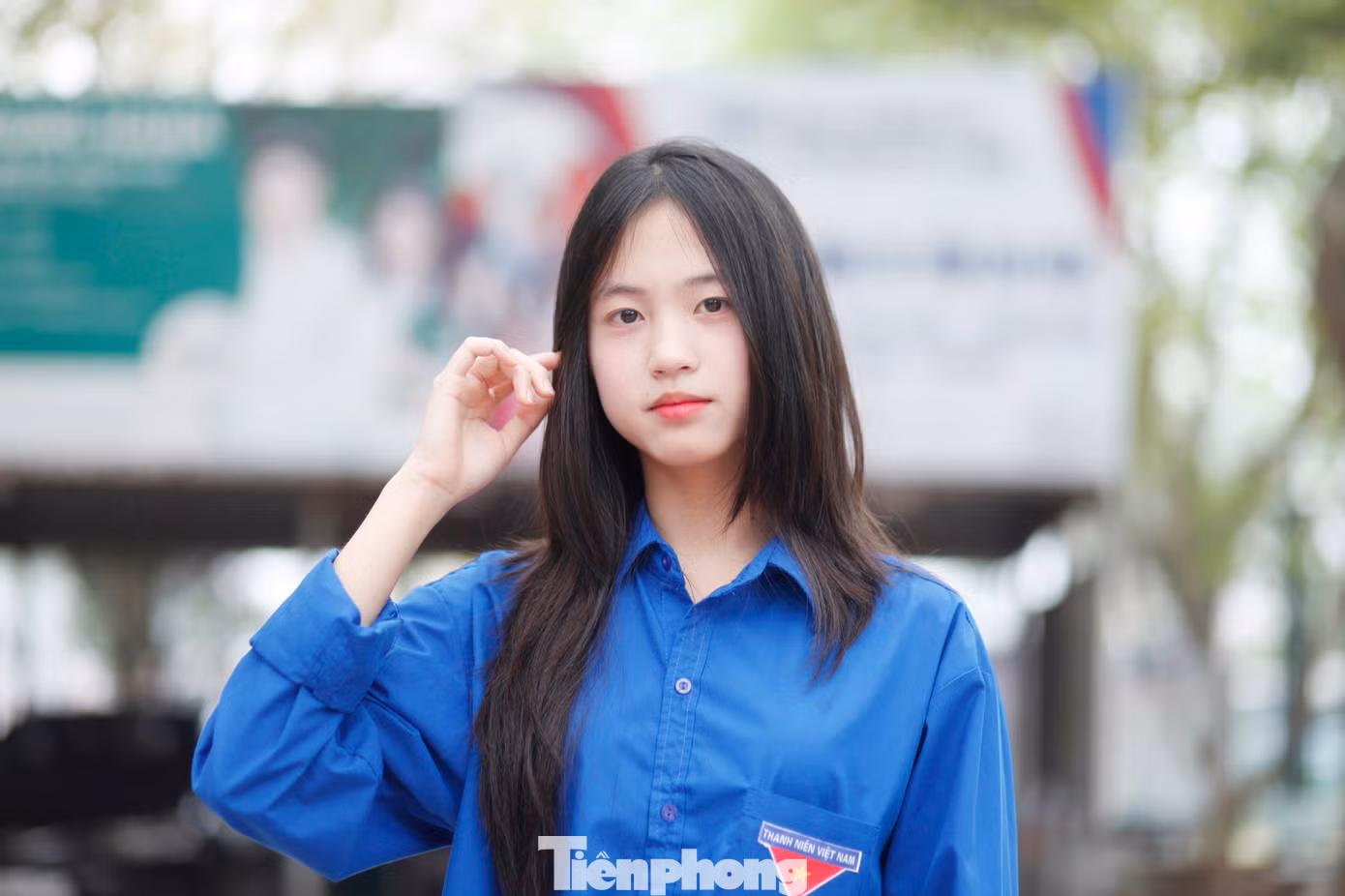 tp-a5.jpg