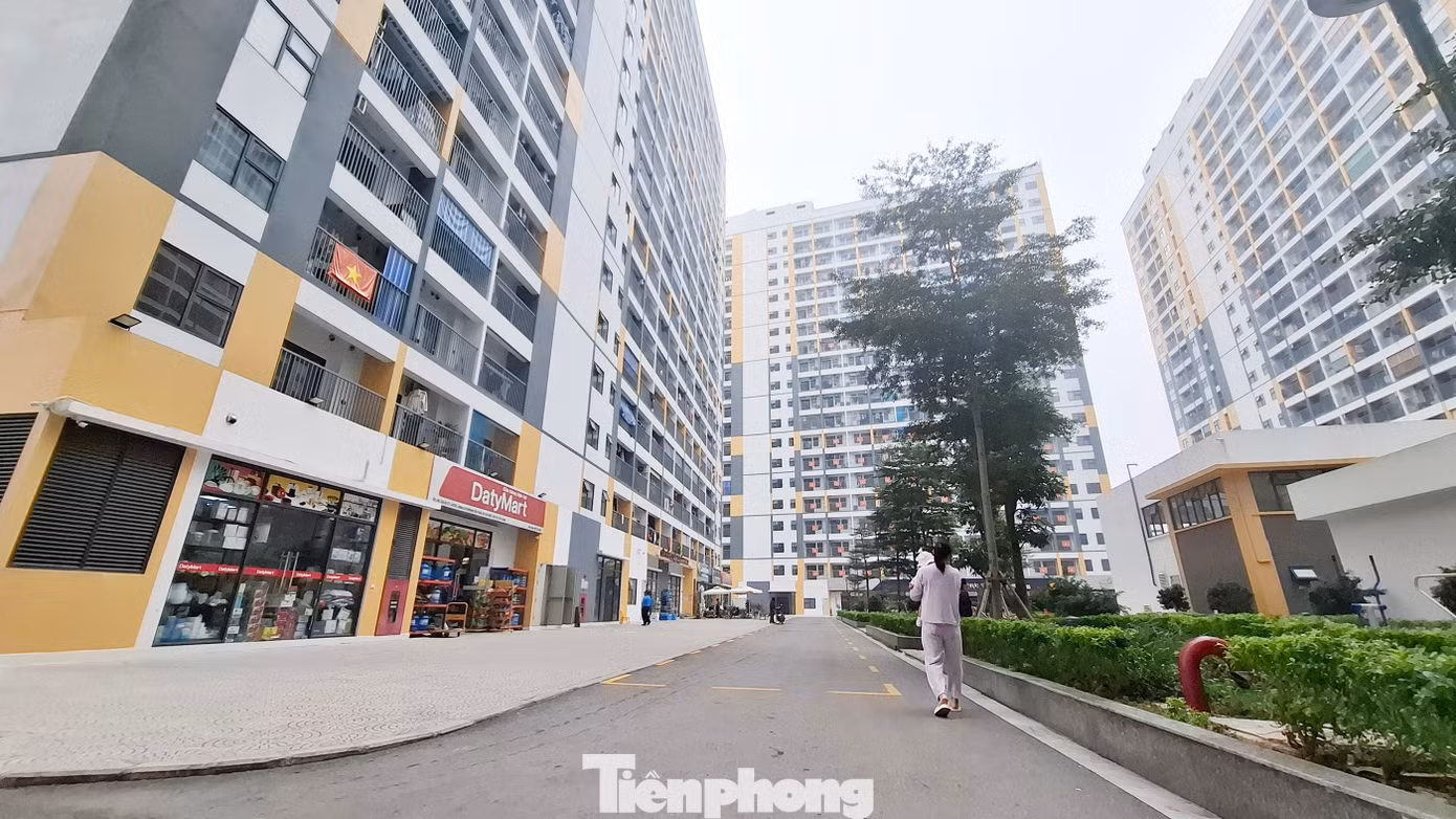 tp-anh-2a.jpg