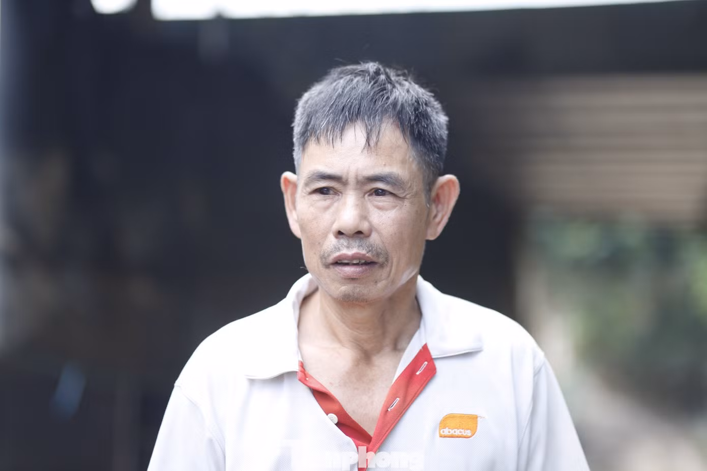 tp-3.jpg