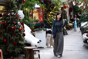 Bạn trẻ Thủ đô nườm nượp đến check in Giáng sinh trong con ngõ nhỏ chưa đầy 100m