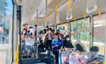 Học sinh, sinh viên tại Hà Nội sắp tới có thể được miễn phí vé xe buýt, metro
