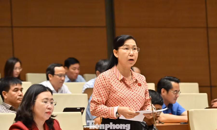 Cán bộ, công chức trở thành luật sư công, có cần qua tập sự?