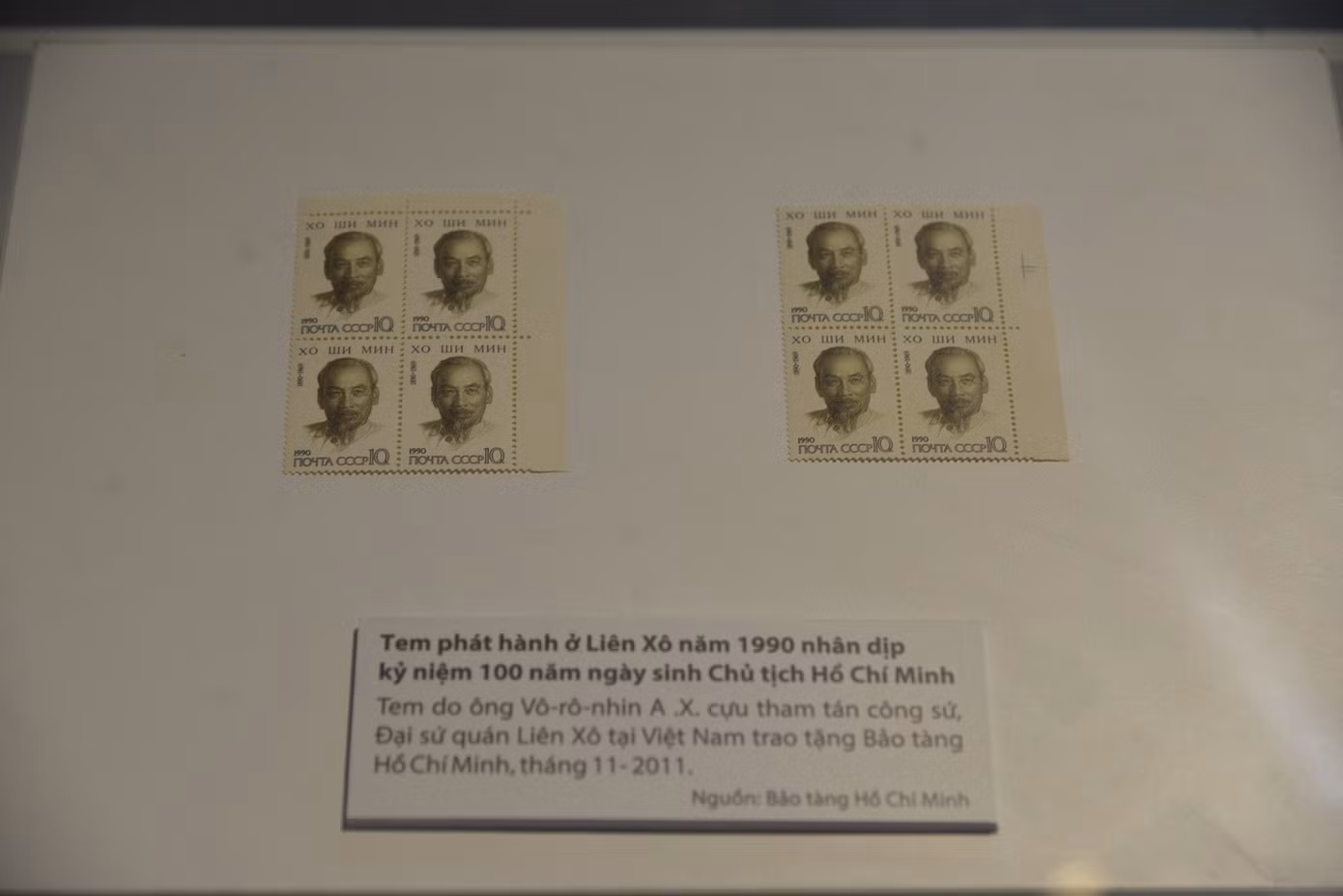 594962342-1313895044112364-3687178869961691399-n.jpg