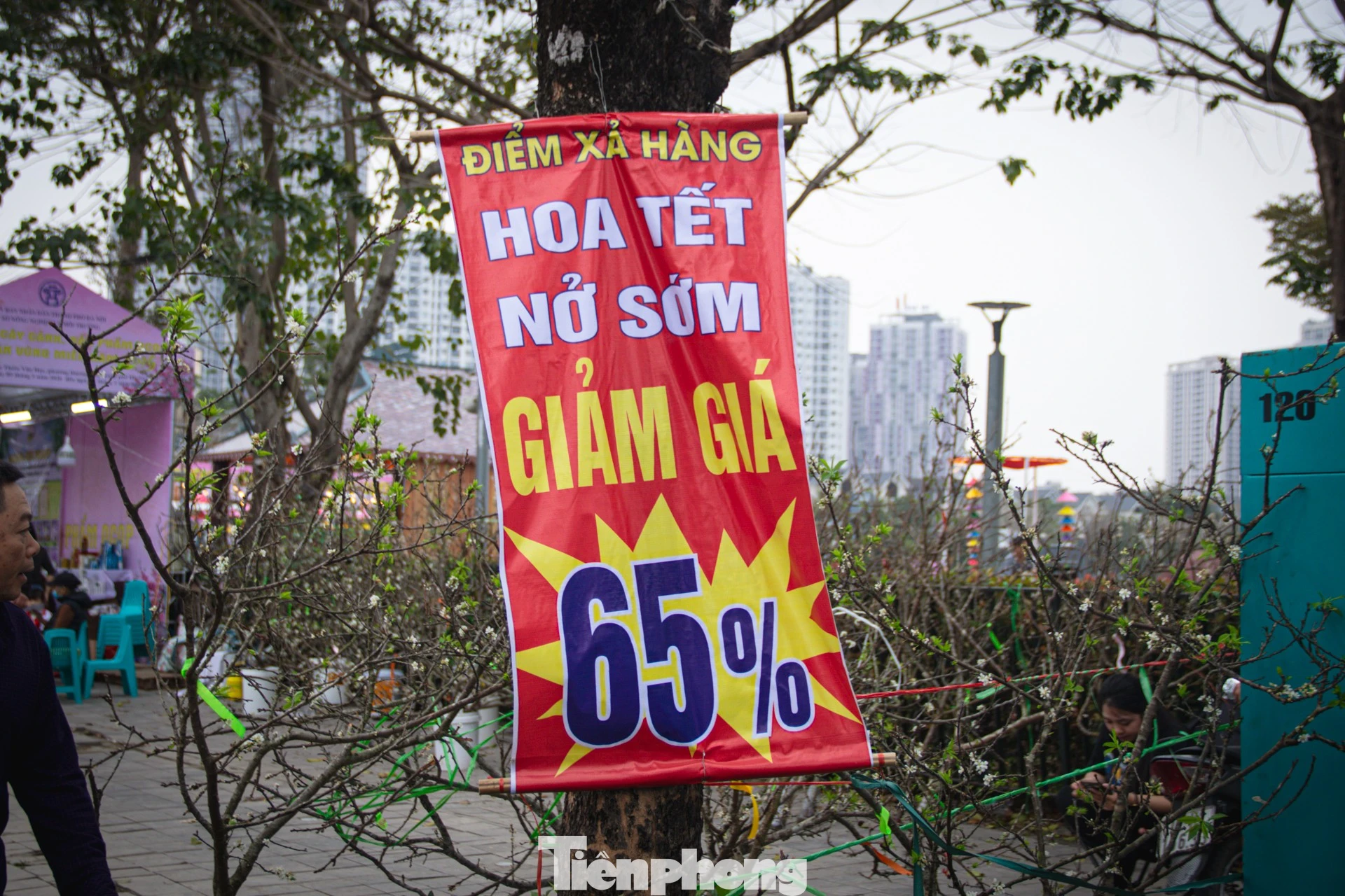 Thị trường hoa Tết Hà Nội nhộn nhịp nhưng đối mặt với thách thức từ thời tiết