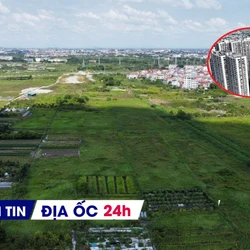 Địa ốc 24H: Vỡ mộng 'lướt sóng' chung cư cao cấp; Hà Nội ồ ạt đấu giá đất dịp cuối năm