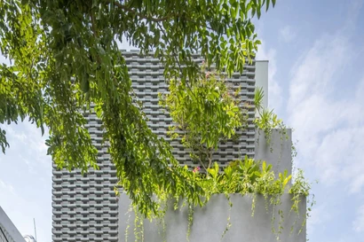 Thiết kế nhà ống với hệ vỏ nhiệt đới