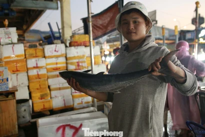 Thuyền cá cập bến Thọ Quang