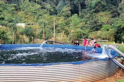 Khu vực nuôi cá hồi bằng nguồn nước tự nhiên dẫn từ suối về Ảnh: T.H