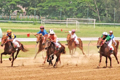 Đua ngựa tại trường đua Phú Thọ thời hoàng kim