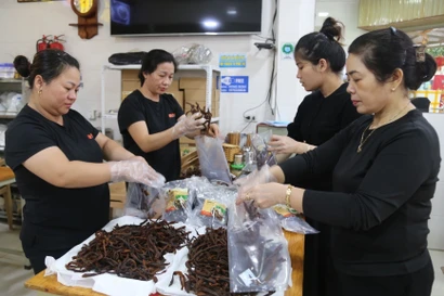 Giữ hồn lươn xứ Nghệ 