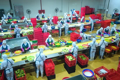 DOVECO - 70 năm làm cho "đất nở hoa”