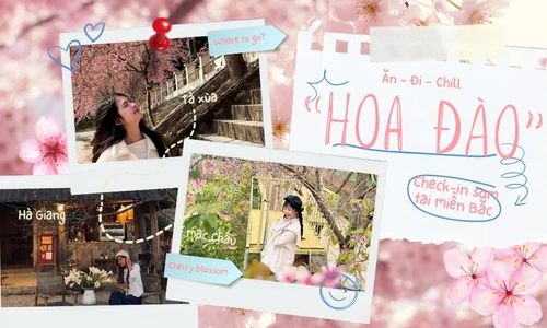 Săn hoa đào sớm ở miền Bắc: Tà Xùa "thêm gói" ngắm mây, đi Hà Giang tiện chụp áo dài