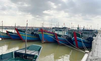 Huế quyết định chi trả hỗ trợ nhiên liệu cho ngư dân sau nhiều năm hồ sơ bị 'treo'