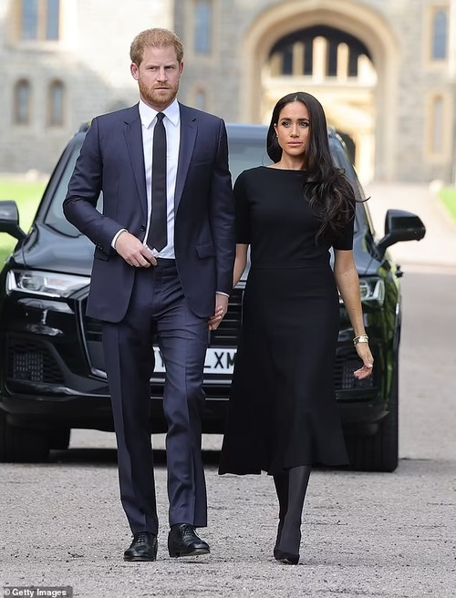 Chuyên gia hoàng gia tố Meghan và Harry lợi dụng điểm yếu của vua cha. Ảnh: Getty Images.