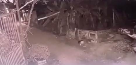 Ảnh cắt từ video vụ việc