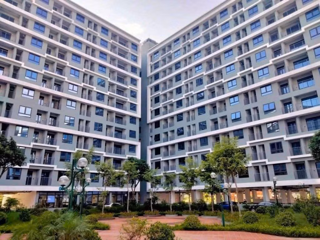 Đà Nẵng: Giá đất tăng vượt xa nhu cầu ở thực, cao nhất hơn 340 triệu đồng/m²