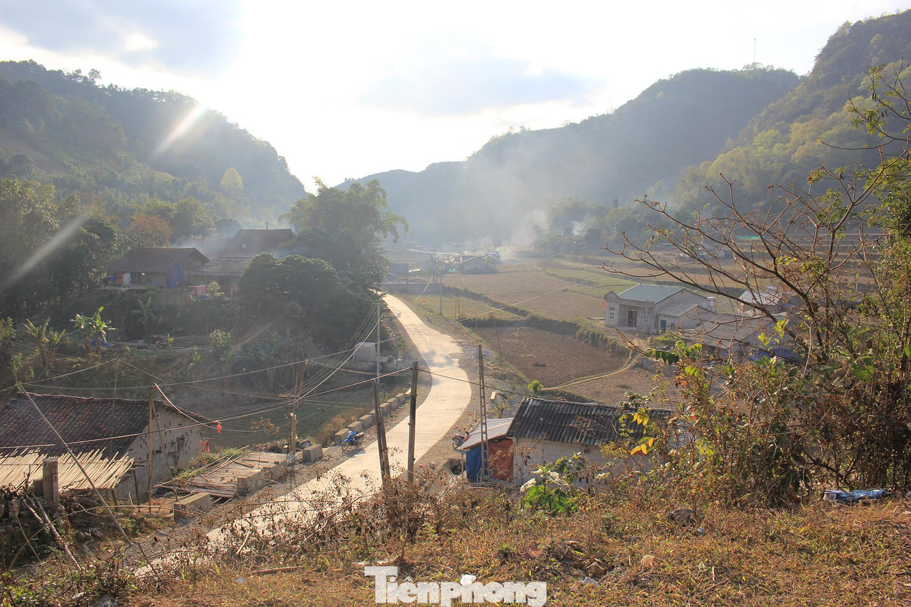 Đồng bào vùng biên giới thường sinh sống dưới thung lũng có các cánh rừng sau sau, ngoài việc trích nhựa cây đem bán, họ còn dùng tầm gửi trên thân sau sau để xông hơi, đun nước tắm cho sản phụ và trẻ sơ sinh.