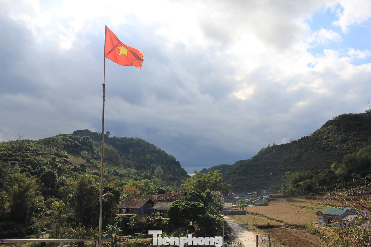 Tại Việt Nam, sau sau có ở các tỉnh phía bắc như Cao Bằng, Bắc Giang, Quảng Ninh, Lạng Sơn, Hà Tây, Hòa Bình,...