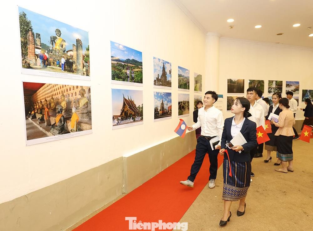 Khách tham quan triển lãm