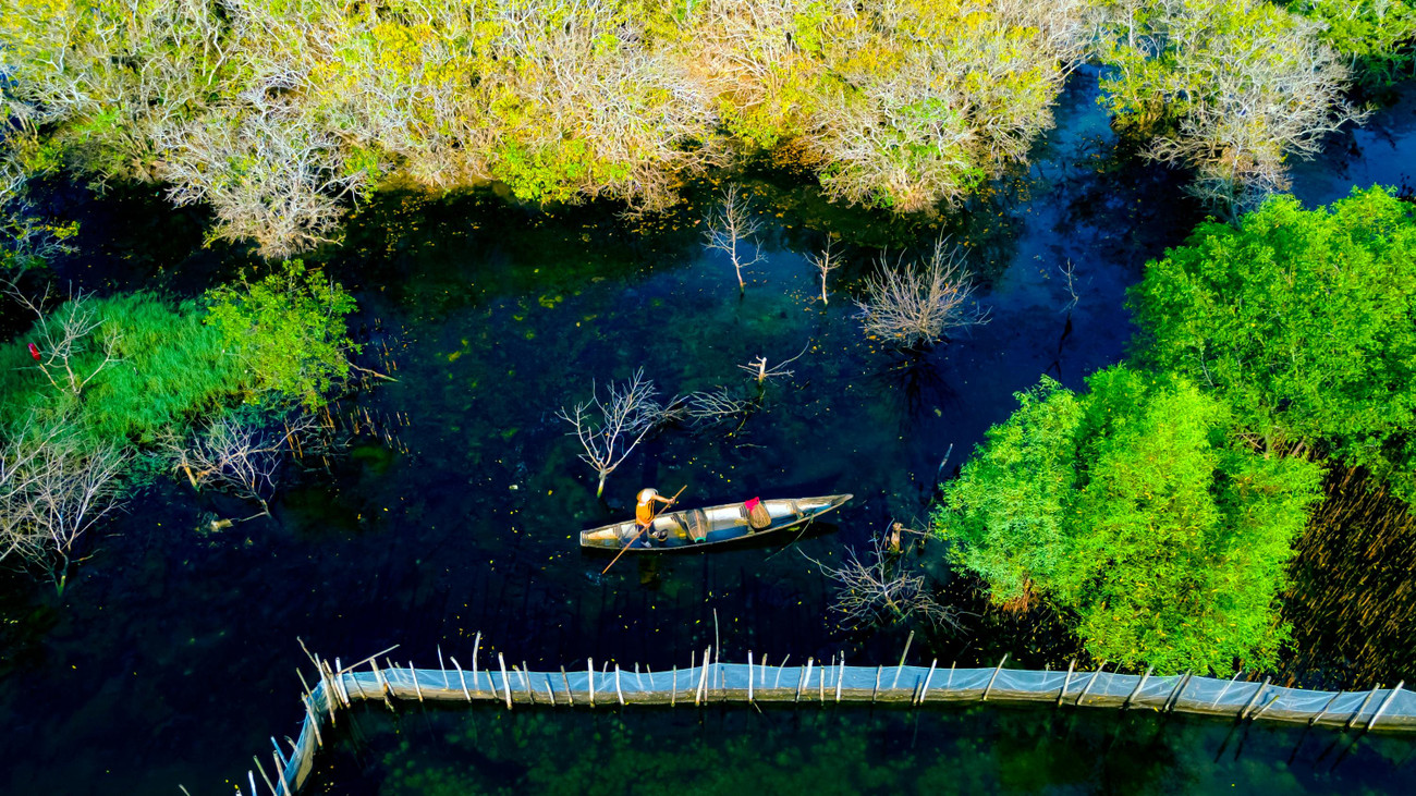 Rú Chá cách nội đô TP Huế khoảng 15km. Trước khi sáp nhập vào TP Huế, rú Chá thuộc địa giới hành chính xã Hương Phong, thị xã Hương Trà, TT-Huế. Ảnh: Đình Hoàng