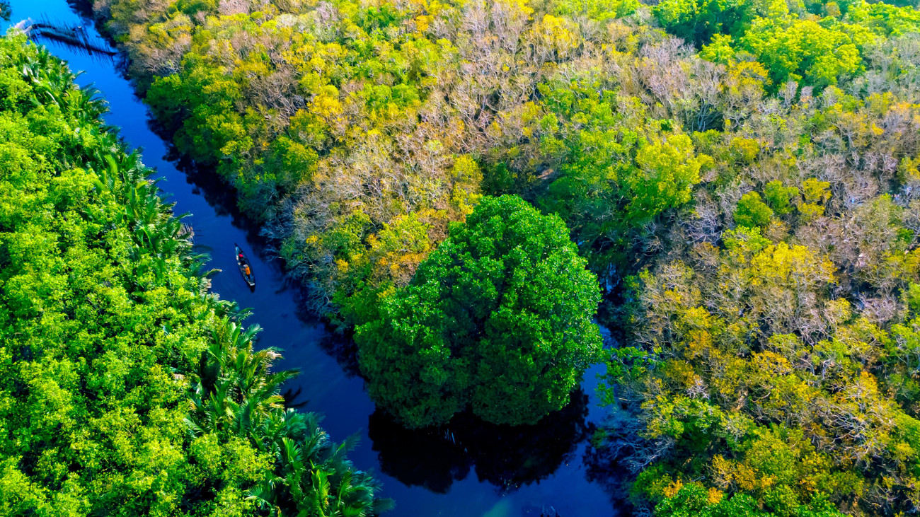 Nếu xuất phát từ trung tâm TP Huế, du khách di chuyển theo Quốc lộ 49 hướng về bãi biển Thuận An, sau đó rẽ trái về phía đập Thảo Long. Hành trình này mất chưa đầy nửa giờ đồng hồ để khám phá khu rừng chá ngập mặn duy nhất xứ Huế. Ảnh: Đình Hoàng