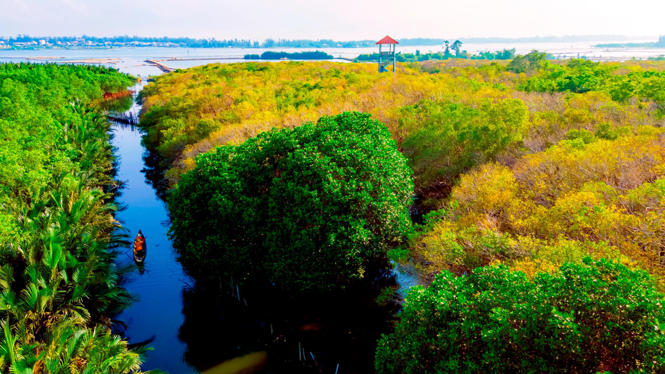 Rú Chá (TP Huế) là khu rừng ngập mặn với loài sinh vật phổ biến là cây chá (còn gọi là giá) sống trong môi trường sình lầy nước nước lợ. Theo dân địa phương, “rú” có nghĩa là rừng, còn “Chá” là tên loài cây đặc trưng tại đây, chiếm đến hơn 90% diện tích khu rừng. Ảnh: Đình Hoàng