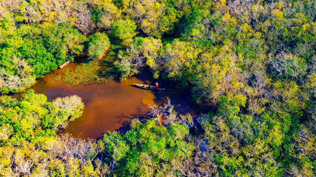 Đứng trên cao, ngoài khám phá vẻ đẹp rừng Chá, du khách có thể thu vào tầm mắt khung cảnh thơ mộng, bàng bạc của vùng đầm phá Tam Giang rộng lớn. Một bức tranh thiên nhiên tuyệt đẹp hiện ra trước mắt. Ảnh: Đình Hoàng