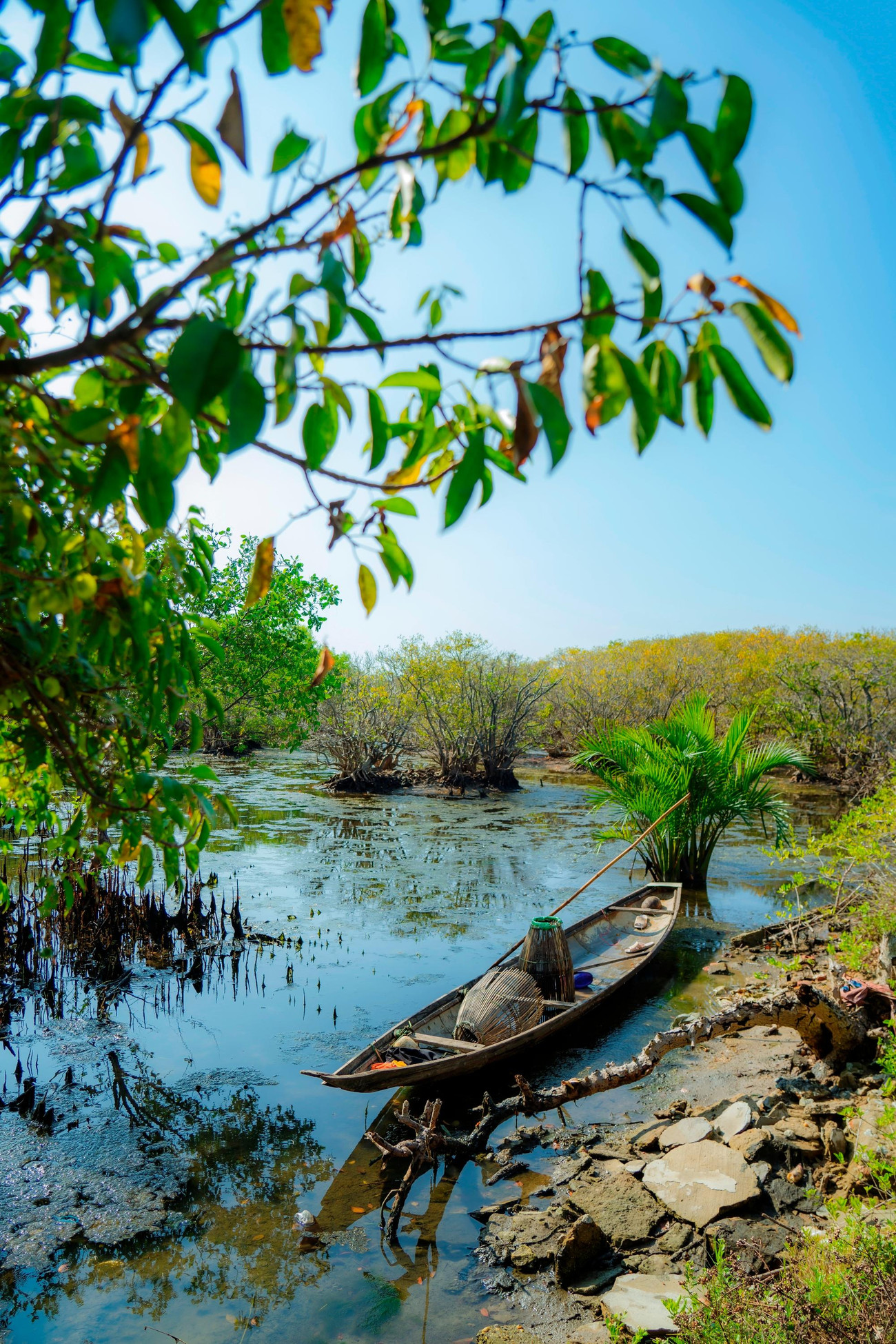 Ngư cụ dùng cho hoạt động mưu sinh nghề sông nước của người dân sống trong rừng chá ngập mặn. Ảnh: Đình Hoàng
