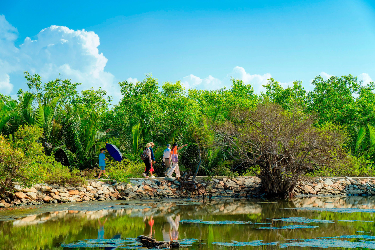 Nơi đây hiện được biết đến như là khu rừng ngập mặn duy nhất còn tồn tại trên vùng đầm phá Tam Giang-Cầu Hai - hệ đầm phá lớn nhất tại khu vực Đông Nam Á. Ảnh: Đình Hoàng