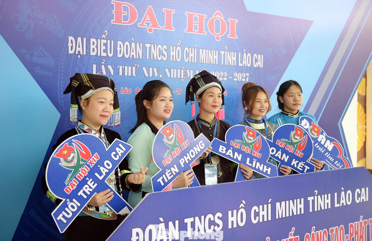 Đại hội có 16 cán bộ Đoàn chuyên trách cấp tỉnh, 33 cán bộ Đoàn chuyên trách cấp huyện và tương đương, 54 cán bộ Đoàn chuyên trách xã, phường, thị trấn. 45 đại biểu là công nhân, công chức, viên chức. 22 đại biểu khối lực lượng vũ trang nhân dân. 23 đoàn viên tiêu biểu khu vực nông thôn. 12 đoàn viên tiêu biểu khu vực đô thị. 30 đại biểu khối trường học, trong đó có 12 giáo viên, 18 học sinh sinh viên.