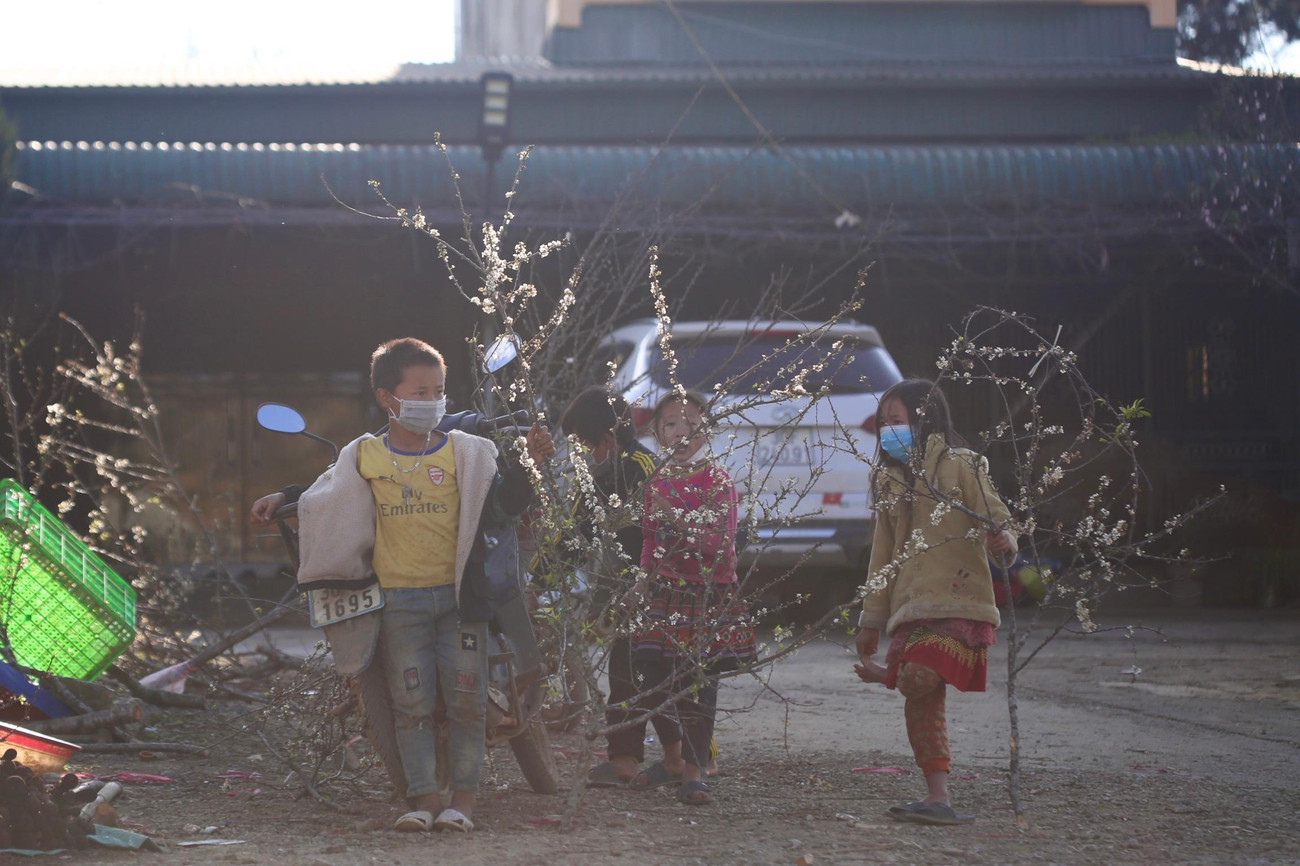 Những em nhỏ chừng 10 tuổi cầm cành mận rừng chào bán bên đường.
