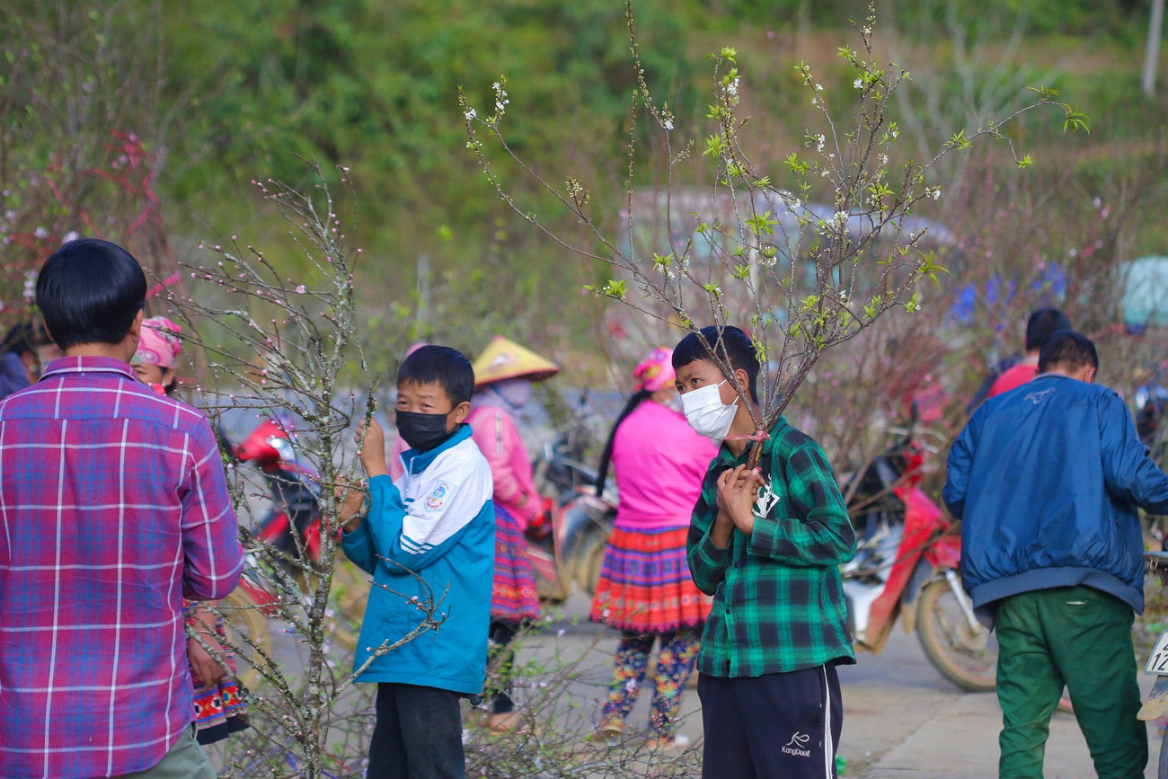 Đào rừng được rất nhiều người ưa chuộng vì hoa đào rừng khác lạ, cây đào rừng chơi được lâu hơn so với các loại khác.