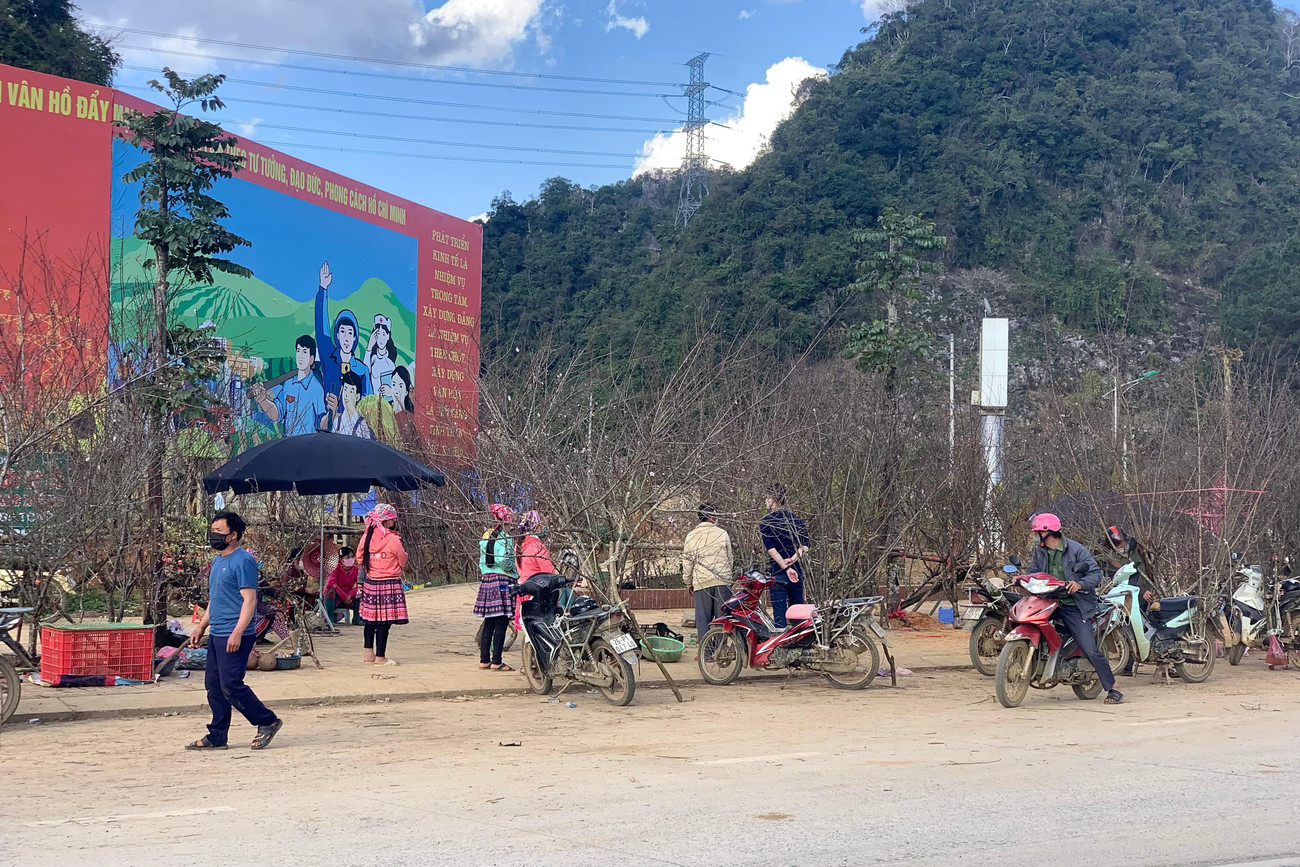 Không khí Tết tràn ngập dọc đường quốc lộ.