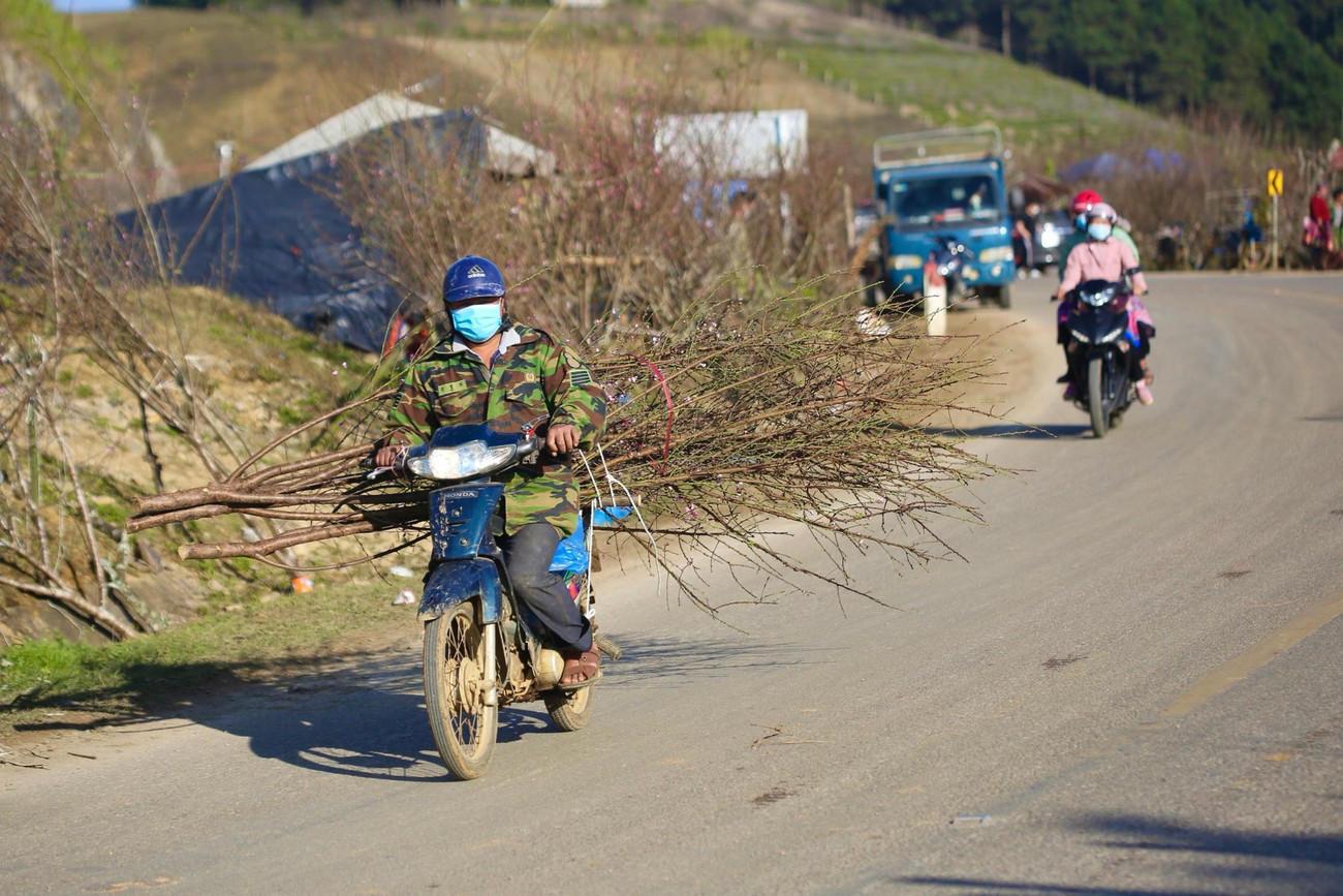Xe máy được người dân ở đây tận dụng chở đào rao bán khắp đường quốc lộ.
