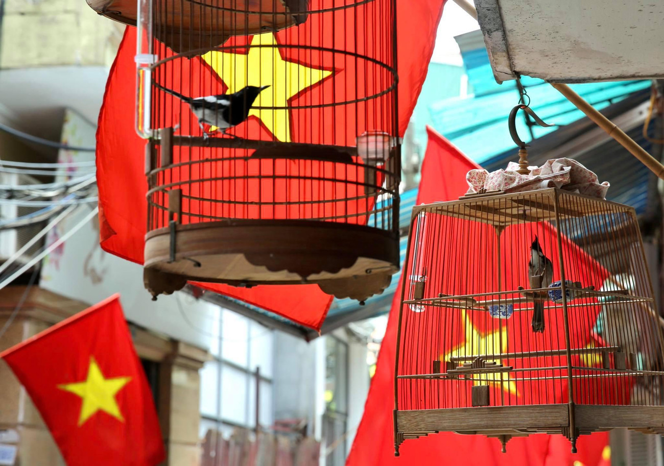 Khung cảnh thanh bình trong nắng thu Hà Nội.