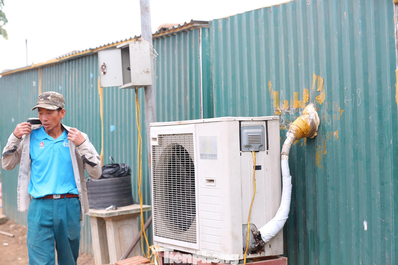 Đây là phương pháp khiến cây nở hoa đúng vào dịp Tết Nhâm Dần 2022 mà không bị phụ thuộc vào thời tiết.