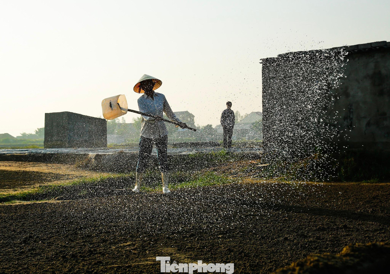 Bao đời nay, những diêm dân An Hoà đã gắn chặt đời mình với hạt muối, dẫu chịu nhiều vất vả, đắng cay.