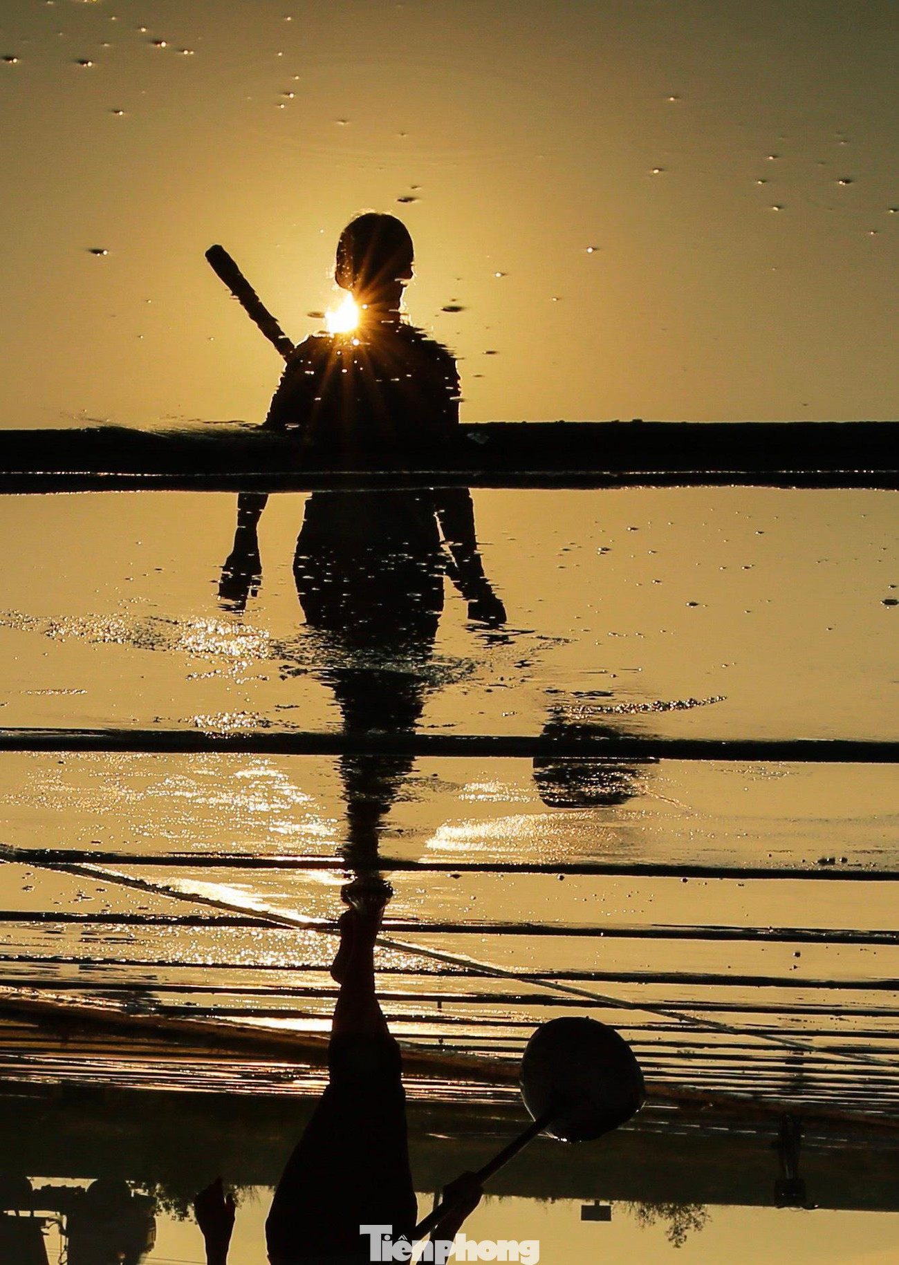 Nghề muối gắn với những cánh đồng kéo dài, ngập tràn ánh nắng và những giọt mồ hôi mặn chát.