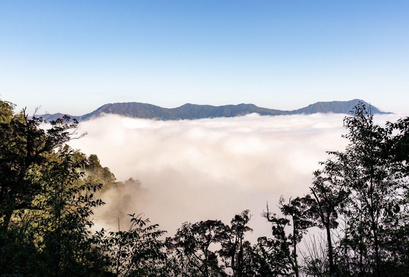 Để săn mây thành công, việc tìm hiểu các yếu tố thời tiết khác như nắng, mưa, nhiệt độ thích hợp để khởi hành là việc làm cần thiết. Nằm ở độ cao trên 1.900m, Buộc Mú là điểm săn mây đẹp bậc nhất xứ Nghệ.