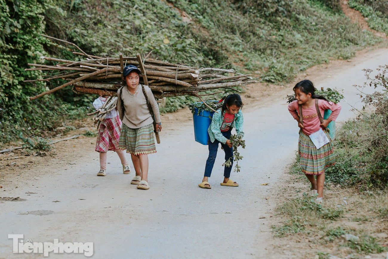 Những em ở độ tuổi tiểu học ở vùng cao đều đã biết phụ giúp, kiếm tiền cho gia đình bằng những công việc không hề nhẹ nhàng.