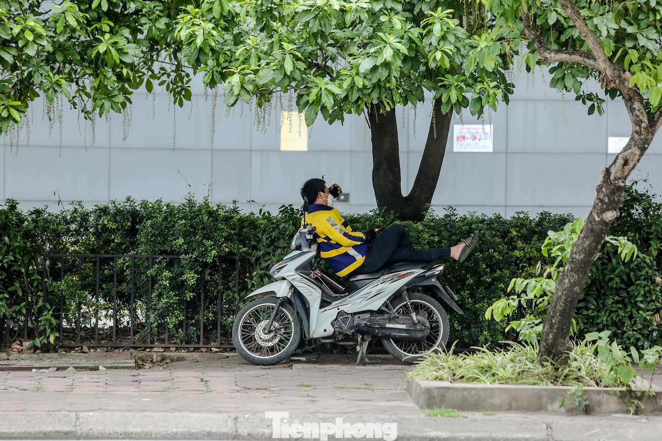 Hoặc tìm một góc dưới tán cây để nghỉ ngơi.