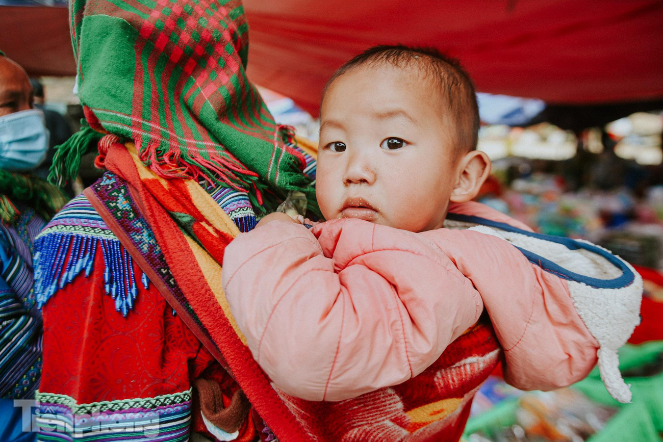 Những em bé ở vùng cao Bắc Hà (Lào Cai) đều được mẹ địu trên lưng để cùng mẹ lên nương, lên rẫy hay xuống chợ.